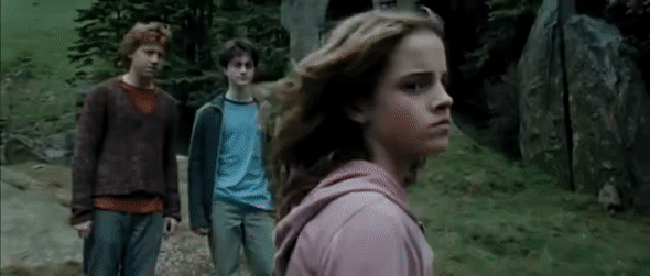 13 - QedszJu.gif